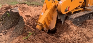 Stump Grinding vs. Stump Pulling: Pros and Cons
